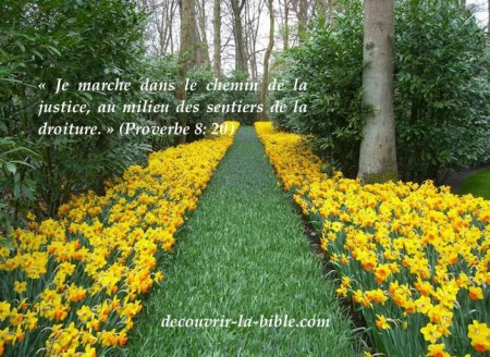 Le sentier de la droiture